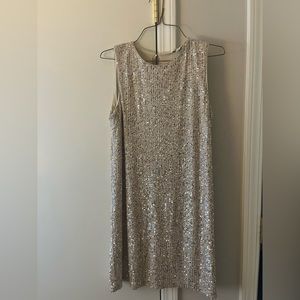 Gold and Silver sequin dress